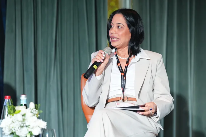 A participant speaking during the seated panel discussion